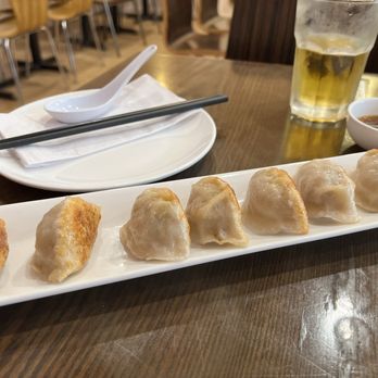 Excellent Dumpling House - 7 Pieces Fried Pork Dumpling - Dim Sum Near Me - New York, New York Excellent Dumpling House - 7 Pieces Fried Pork Dumpling - Dim Sum Near Me - New York, New York
