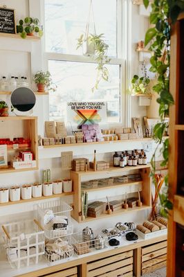 THE COLLECTIVE by null