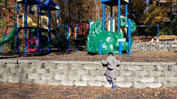 Peachtree Hills Park by null