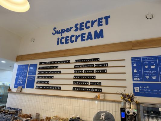 Super Secret Ice Cream by null