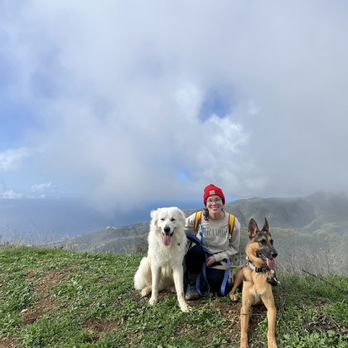 Bar K9 Dog Training - Pet Training Near Me
