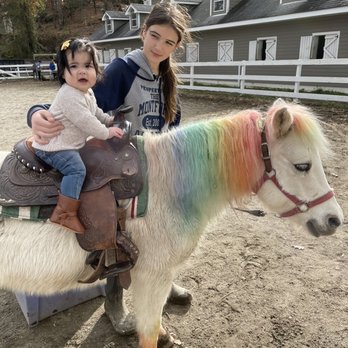 Sky Blue Stables - Pony rides - Horse Boarding Near Me - Cortlandt Manor, New York Sky Blue Stables - Pony rides - Horse Boarding Near Me - Cortlandt Manor, New York