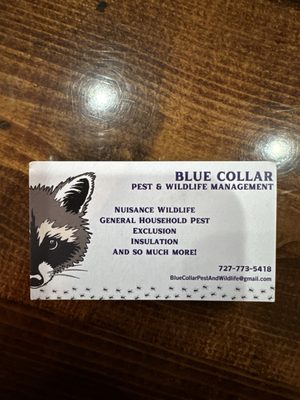 Blue Collar Pest And Wildlife Management