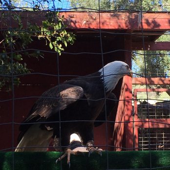 Wildlife Learning Center - Zoos Near Me - Sylmar, California