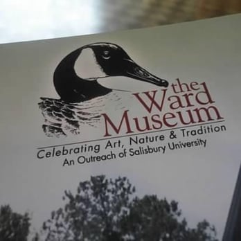Ward Foundation - Art Museums Near Me - Salisbury, Maryland