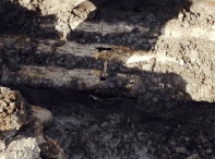 Slide of Nuckles & Son