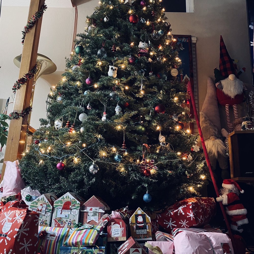 Pete's Tree World - Christmas 2020 - Christmas Trees Near Me - Pittsburg, California Pete's Tree World - Christmas 2020 - Christmas Trees Near Me - Pittsburg, California