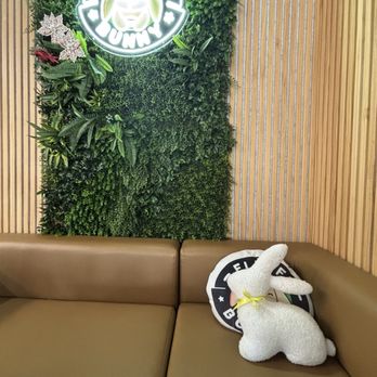 Fluffy Bunny - Decor - Coffee & Tea Near Me - Highland Park, Illinois