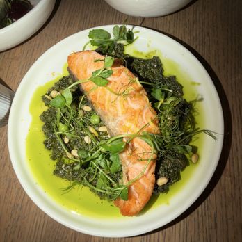 Zaytinya - Salmon with greens - Greek Near Me - Culver City, California Zaytinya - Salmon with greens - Greek Near Me - Culver City, California
