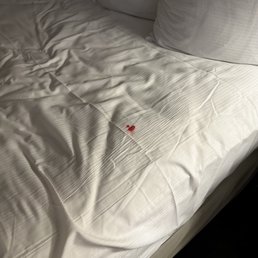 Someone bodily fluid on my neatly folded bed....thanks double tree for the treatment. Someone bodily fluid on my neatly folded bed....thanks double tree for the treatment.