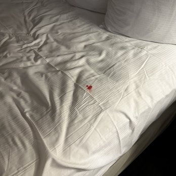 DoubleTree by Hilton Evansville - Someone bodily fluid on my neatly folded bed....thanks double tree for the treatment. - Hotels Near Me - Evansville, Indiana DoubleTree by Hilton Evansville - Someone bodily fluid on my neatly folded bed....thanks double tree for the treatment. - Hotels Near Me - Evansville, Indiana