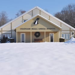 Chathams Small Animal Hospital