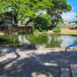 Kunawai Springs Urban Park