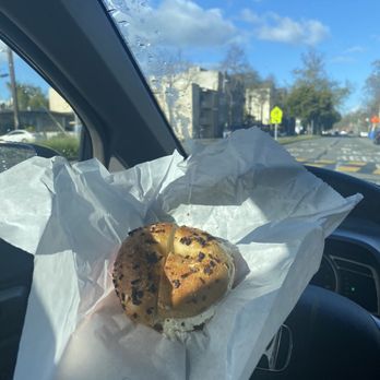 Bageltopia - Onion bagel - Bagels Near Me - Berkeley, California
