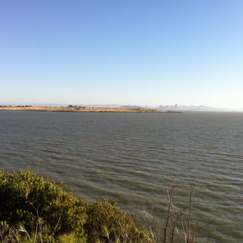 Skates On The Bay - the Bay - Seafood Near Me - Berkeley, California
