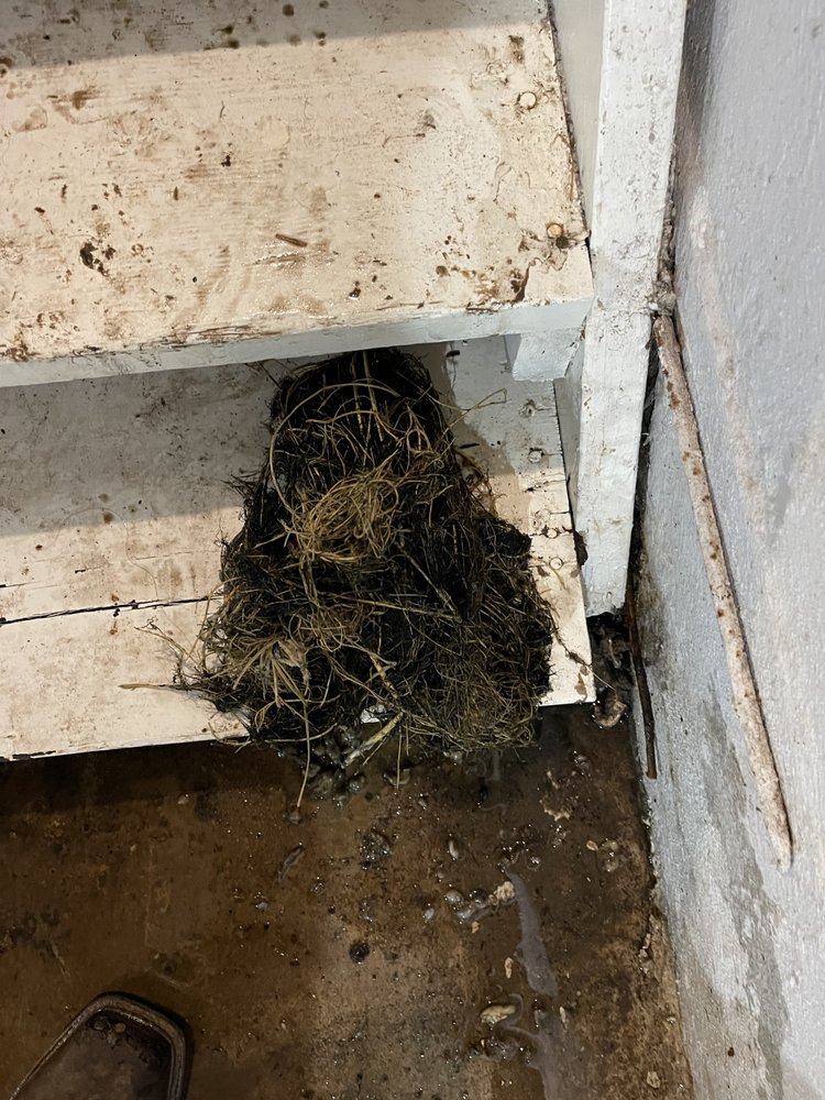 Slide of STL Pro Plumbing