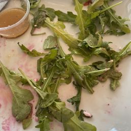 Arugula greens yellow & turning slimey