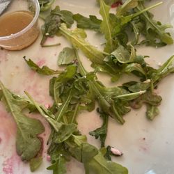 Conversations - Arugula greens yellow & turning slimey