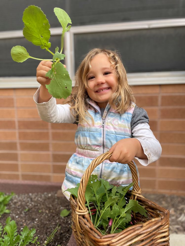 Fremont Nursery School - childcare center in Sacramento, CA
