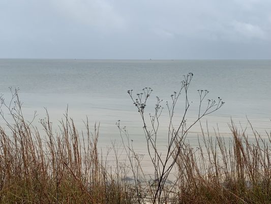 Aransas National Wildlife Refuge by null