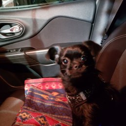 Our pup was well taken care of and the grooming was wonderful!