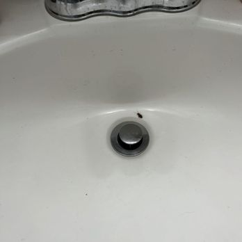 Grandview Plaza - Nasty. - Apartments Near Me - Great Falls, Montana