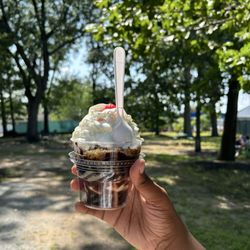 Turtle sundae