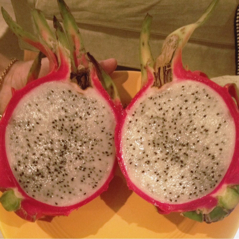 Dragon fruit Dragon fruit