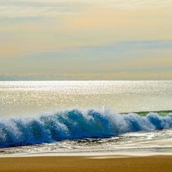Water's Edge Photography