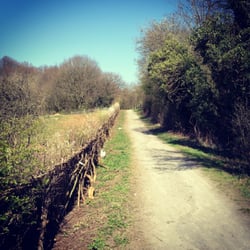 Saltwells Nature Reserve