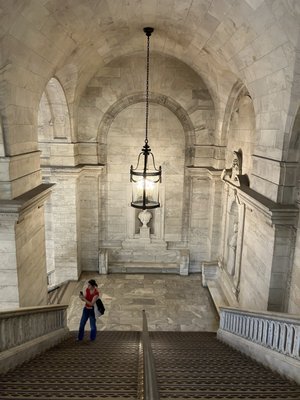 New York Public Library - Stephen A. Schwarzman Building by null