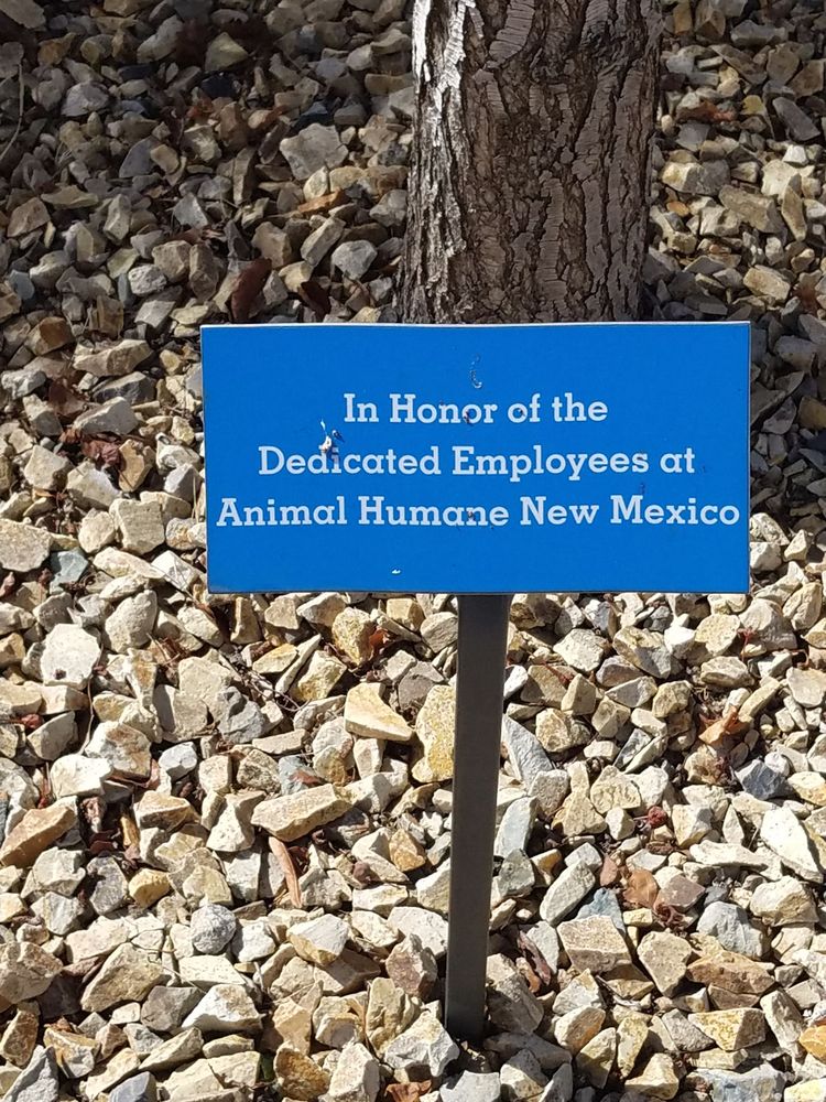 ANIMAL HUMANE NEW MEXICO 35 Photos & 42 Reviews Animal Shelters