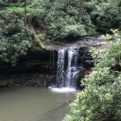 Twin Falls Resort State Park