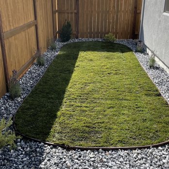 Benito Landscaping and Garden Services - Some various plants and lavender - Landscaping Near Me