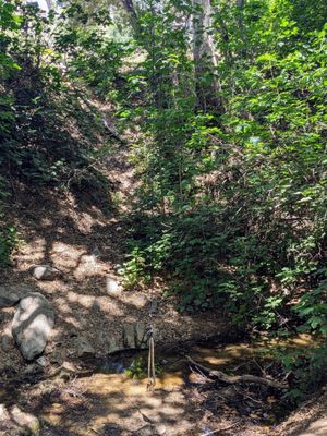 Marshall Canyon Regional Park by null