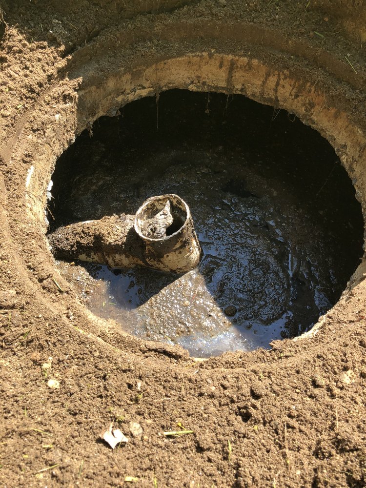 Slide of A Bee Septic