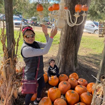 Helena Hollow - Pumpkin Patches Near Me - Helena, Alabama Helena Hollow - Pumpkin Patches Near Me - Helena, Alabama