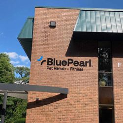 BluePearl Pet Rehab + Fitness
