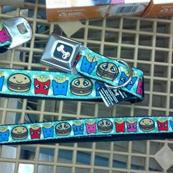 Petco - Love this collar n lead - Pet Training Near Me - Beaumont, California