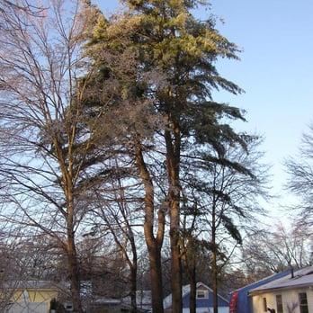 Hirko's Tree Service - Firewood Near Me - Nashua, New Hampshire Hirko's Tree Service - Firewood Near Me - Nashua, New Hampshire