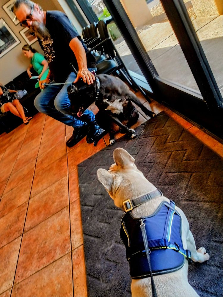 APOLLO ANIMAL HOSPITAL Updated September 2024 39 Photos & 83