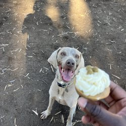 Grape Street Dog Park
