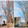Photo of Transformed Tree Care