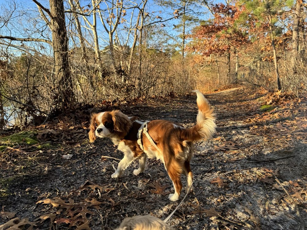 CRANBERRY BOG COUNTY PARK Updated September 2024 17 Photos
