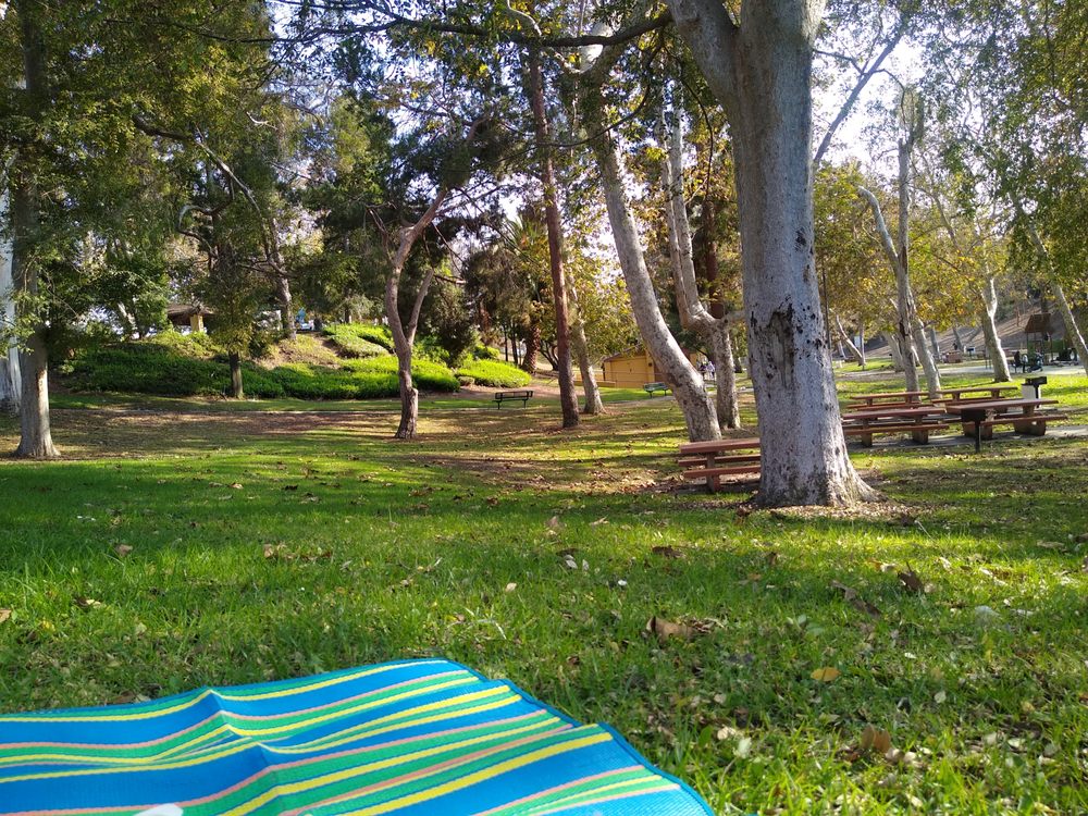 LADERA PARK 37 Photos & 20 Reviews 6027 Ladera Park Ave, Los