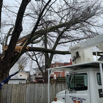 TRI-COUNTY TREE PROS - Updated November 2025 - 27682 270th St