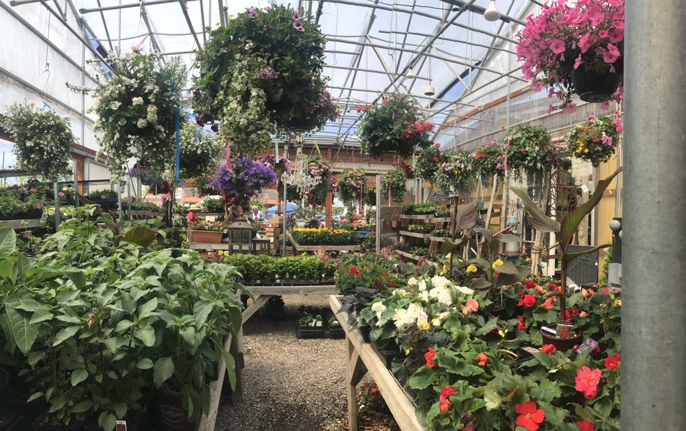 GARDEN SPOT NURSERY 41 Photos & 17 Reviews 900 Alabama St