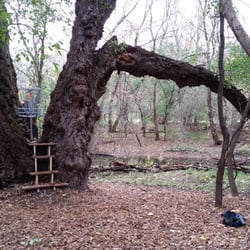 Root River Disc Golf Course