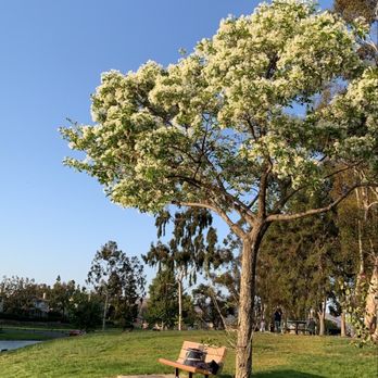 Tri-City Park - Parks Near Me - Placentia, California Tri-City Park - Parks Near Me - Placentia, California