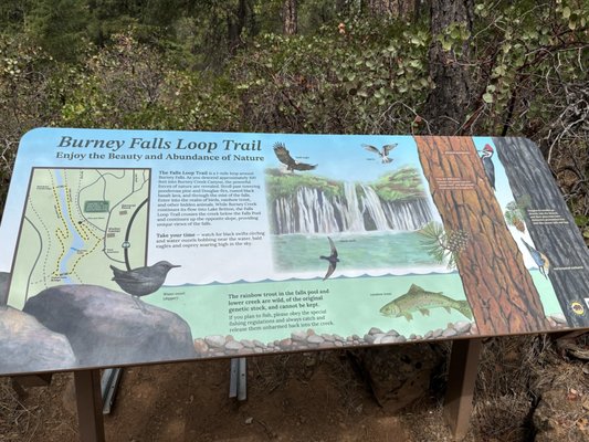 Burney Falls by null